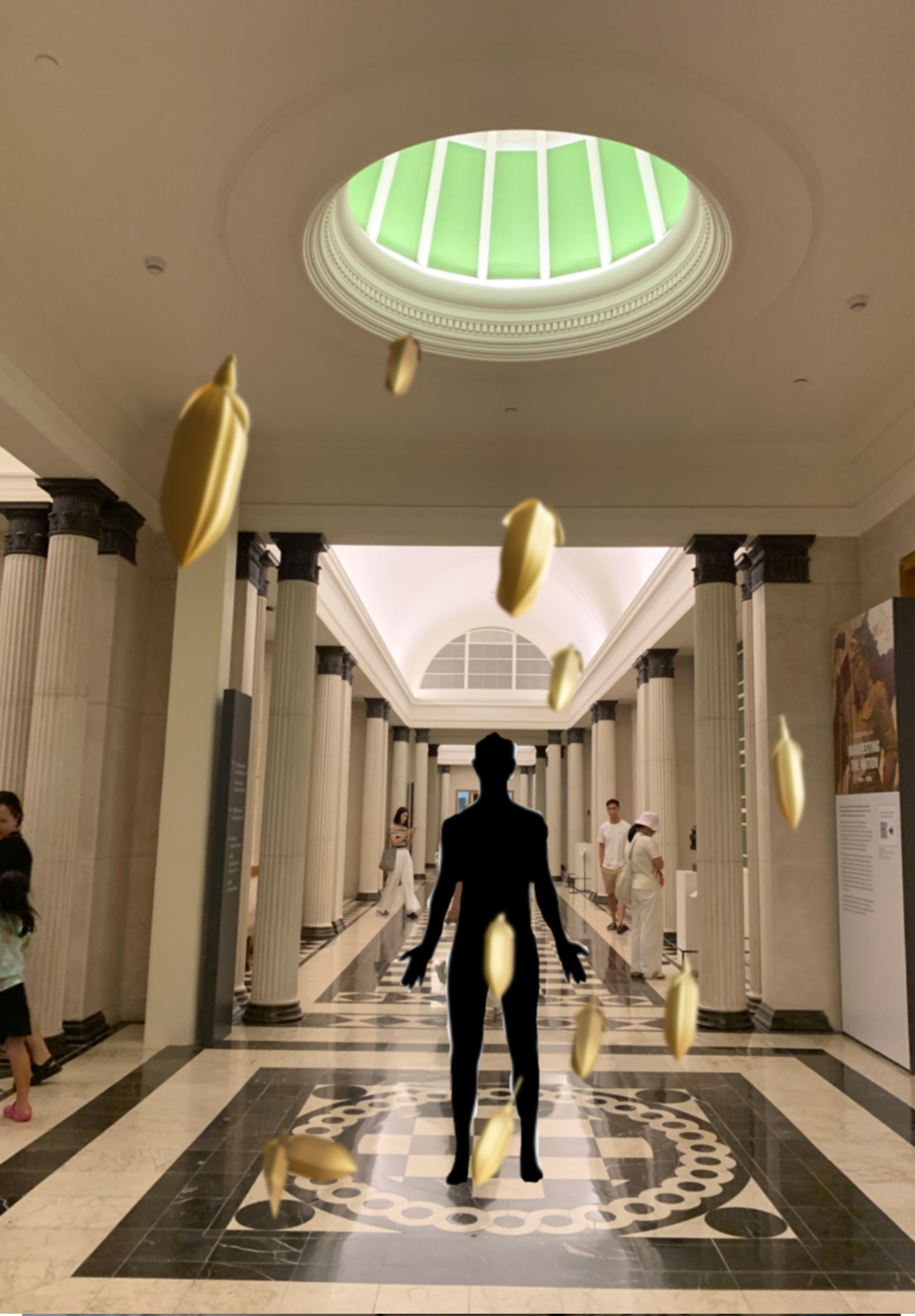 Fields of Light (AR)