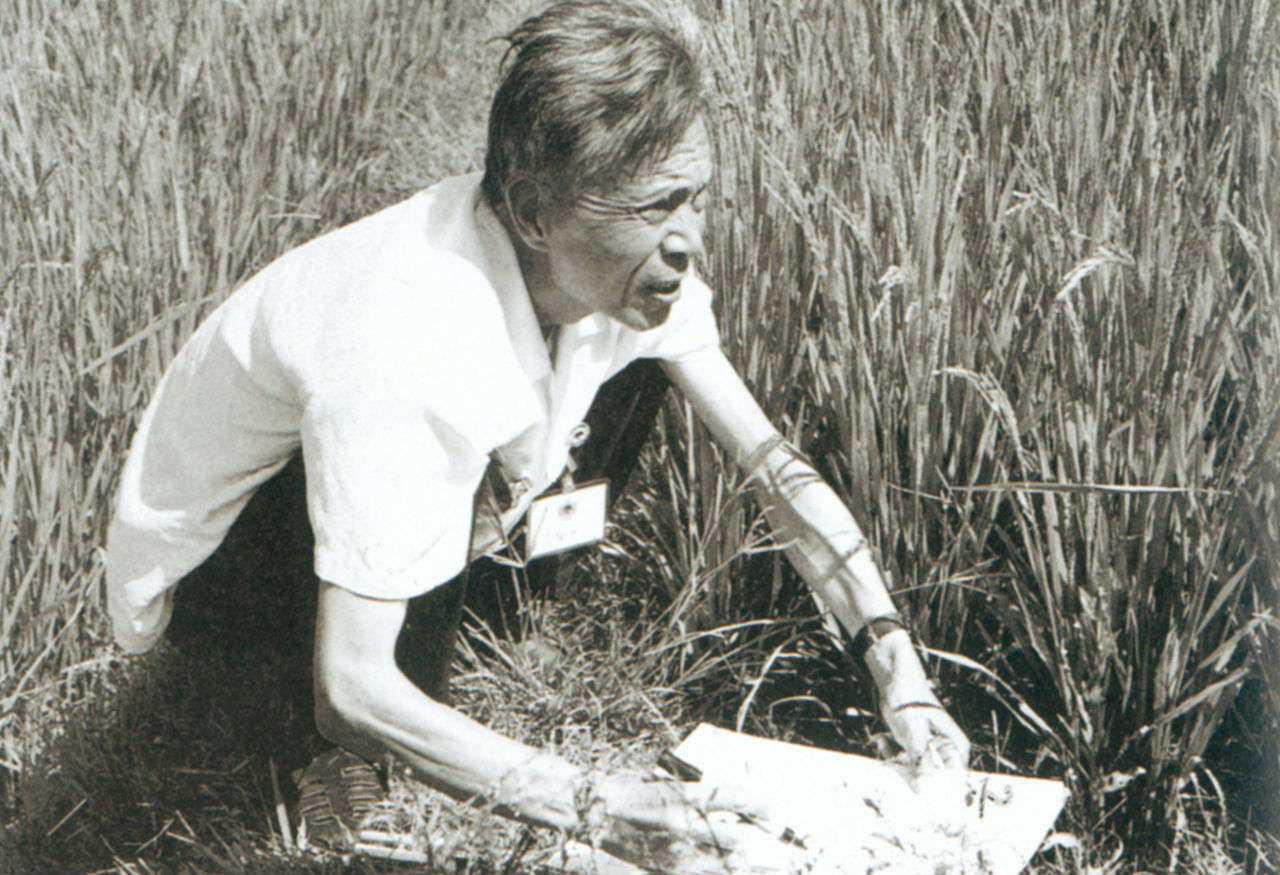 Photograph of Wu Guanzhong sketching in Sichuan