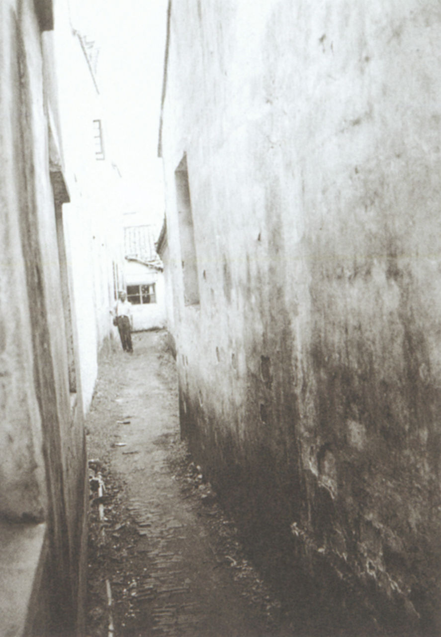 Photograph of Wu Guanzhong at Zhouzhaung, Jiangsu
