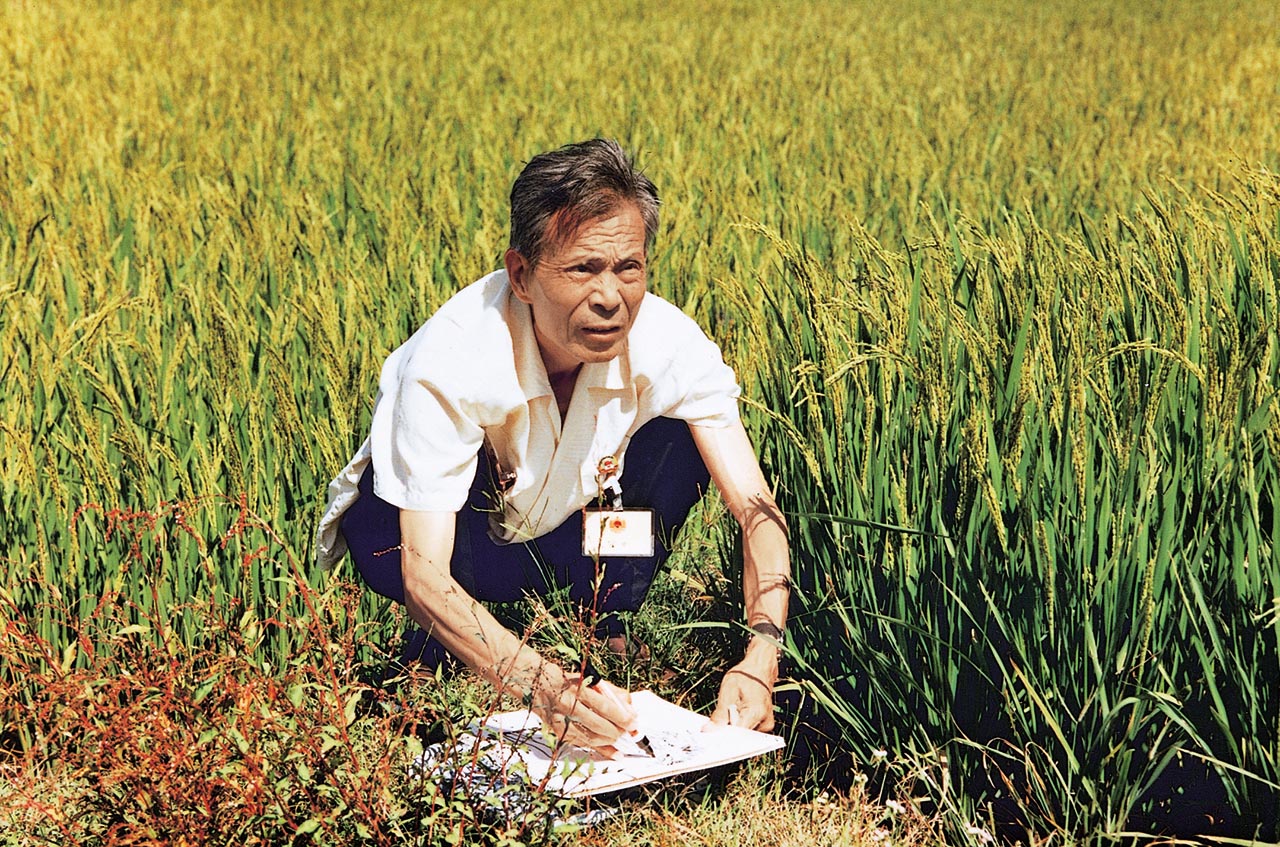Photograph of Wu Guanzhong sketching at Gutian, Fujian