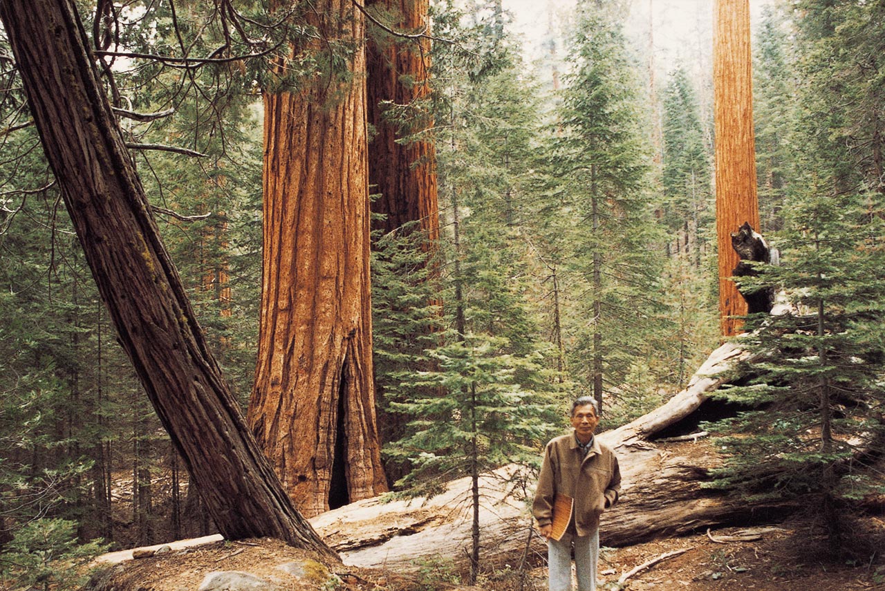 Photograph of Wu Guanzhong at Tosemite National Park, California