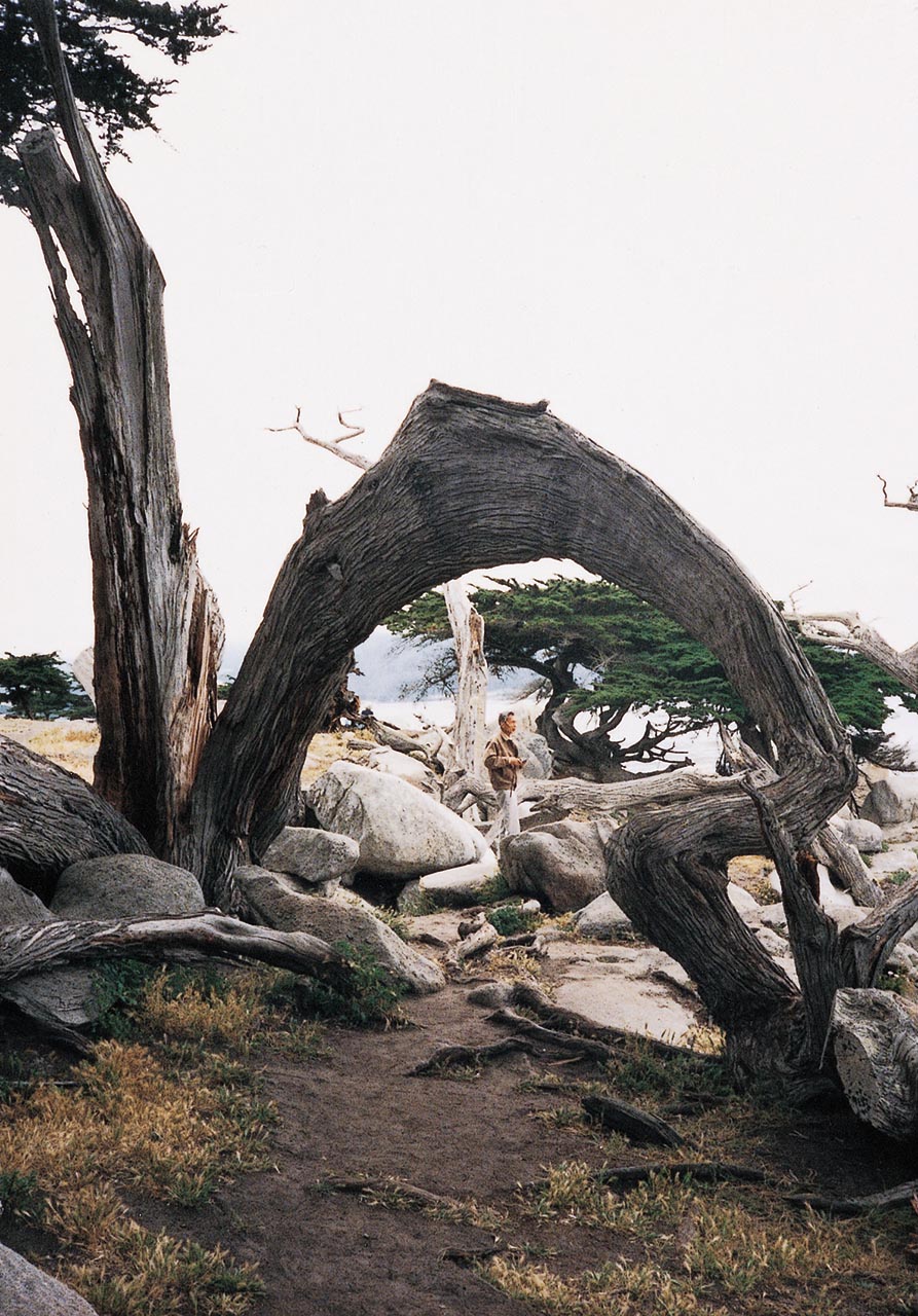 Photograph of Wu Guanzhong at Monterey Bay, California