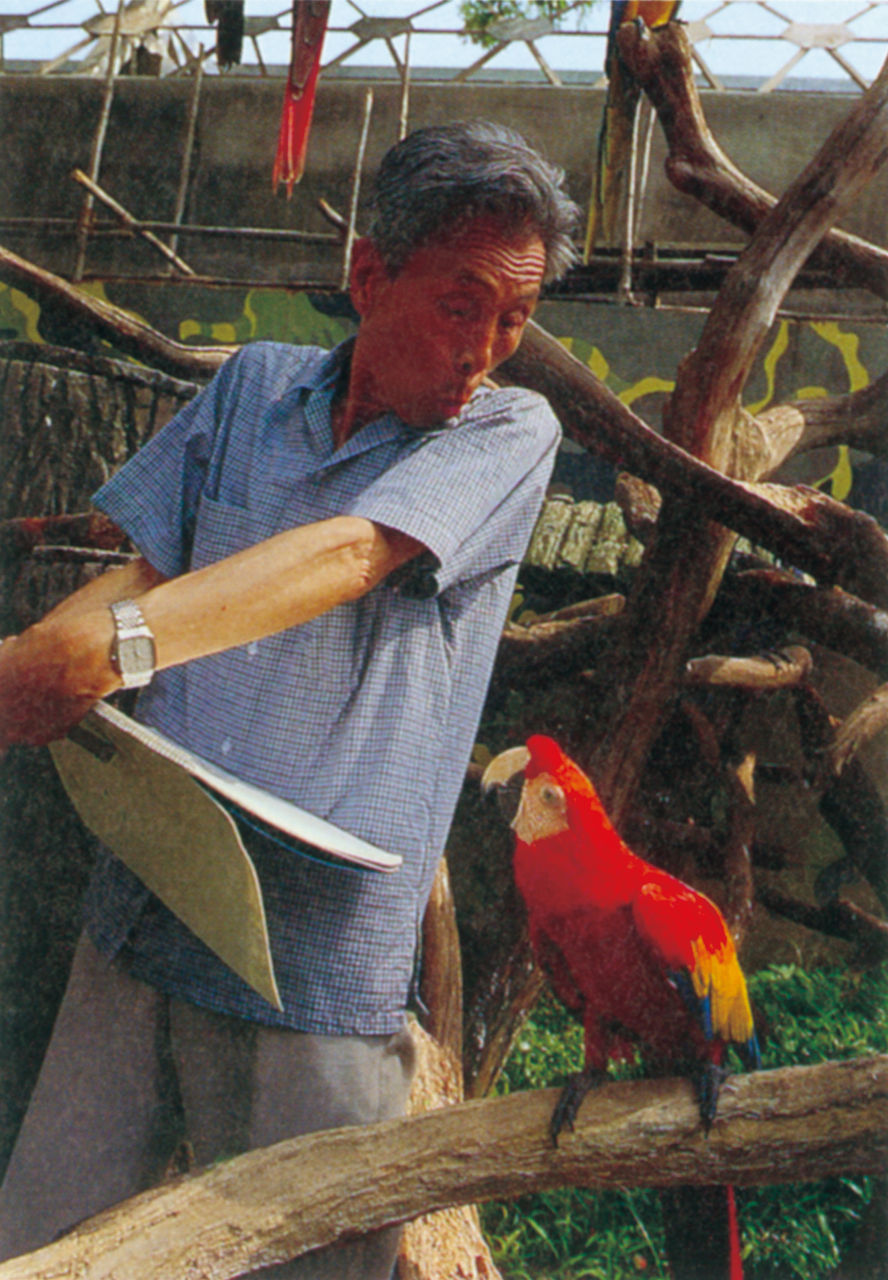 Photograph of Wu Guanzhong sketching at Jurong Bird Park, Singapore