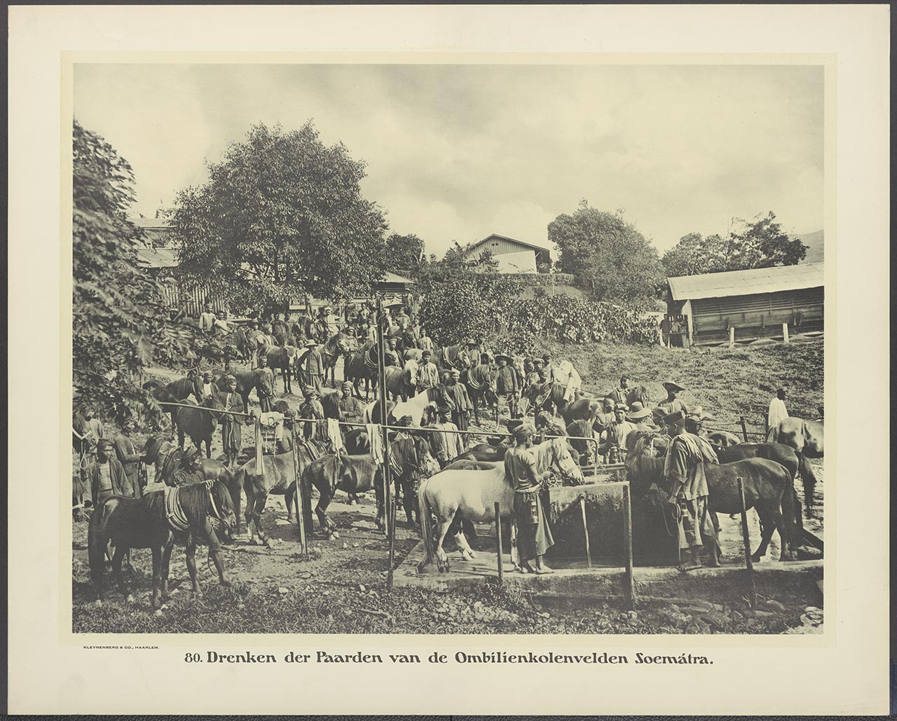 080. Drenken der Paarden van de Ombilienkolenvelden Soemátra.