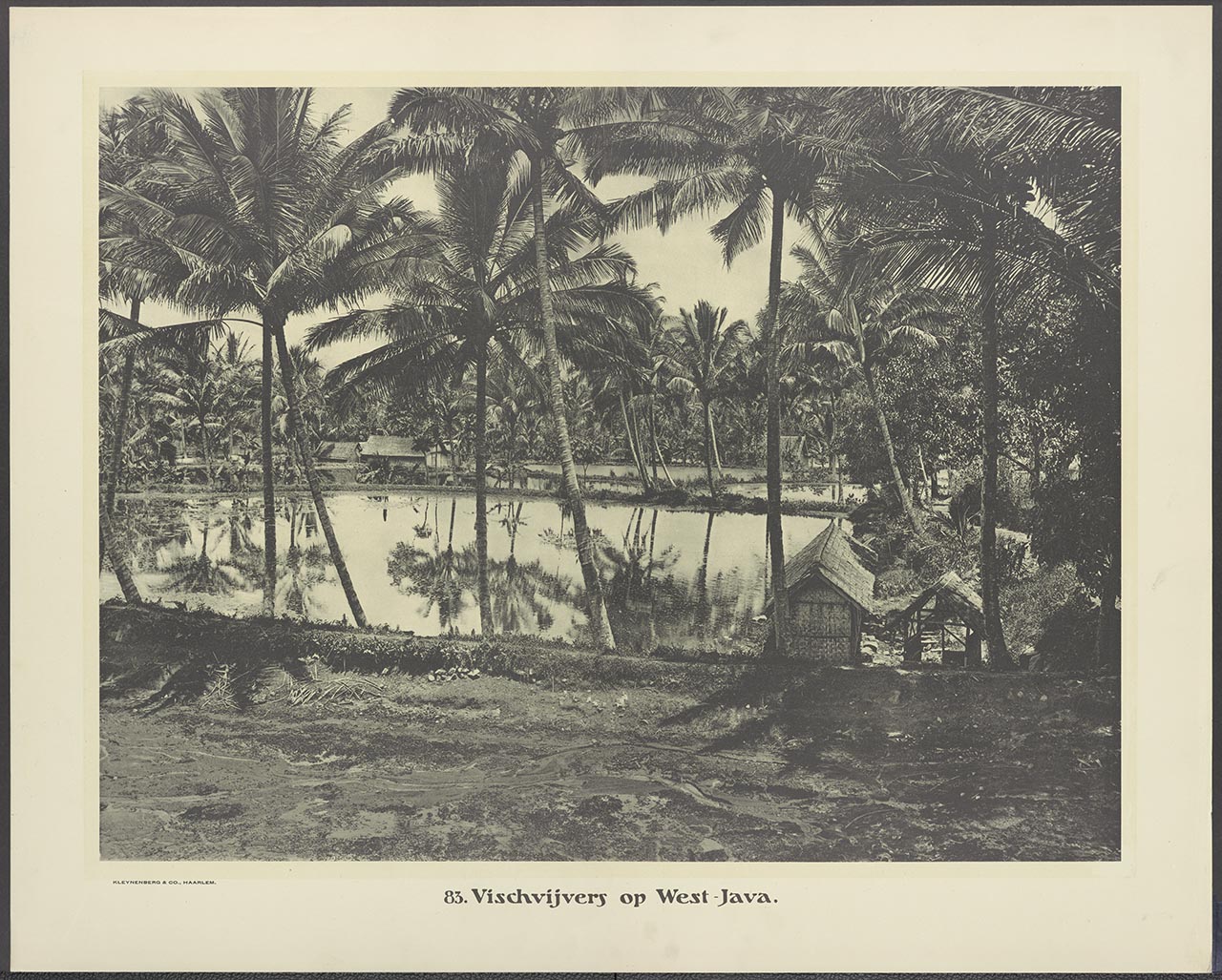 083. Vischvijvers op West-Java.