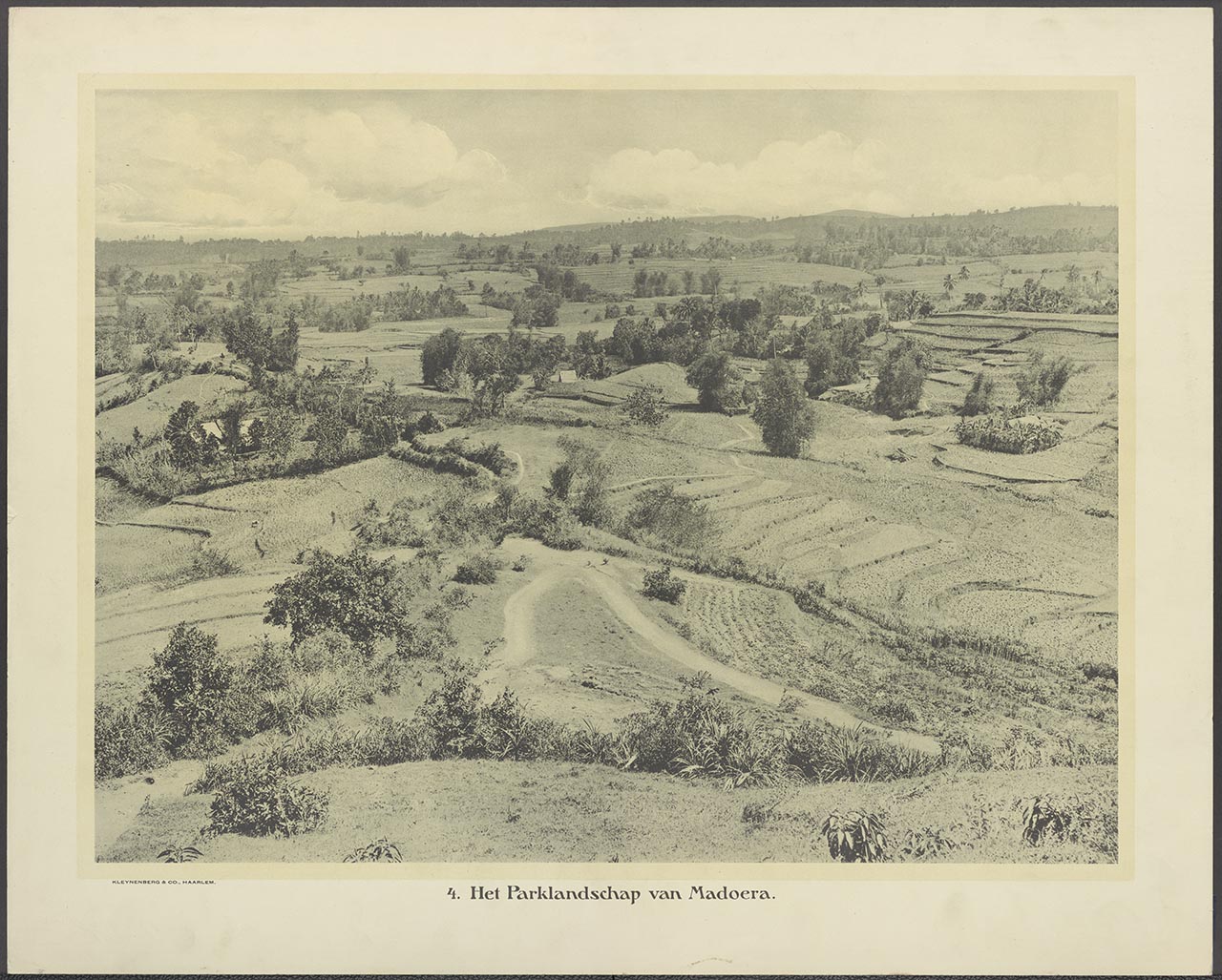004. Het Parklandschap van Madoera.