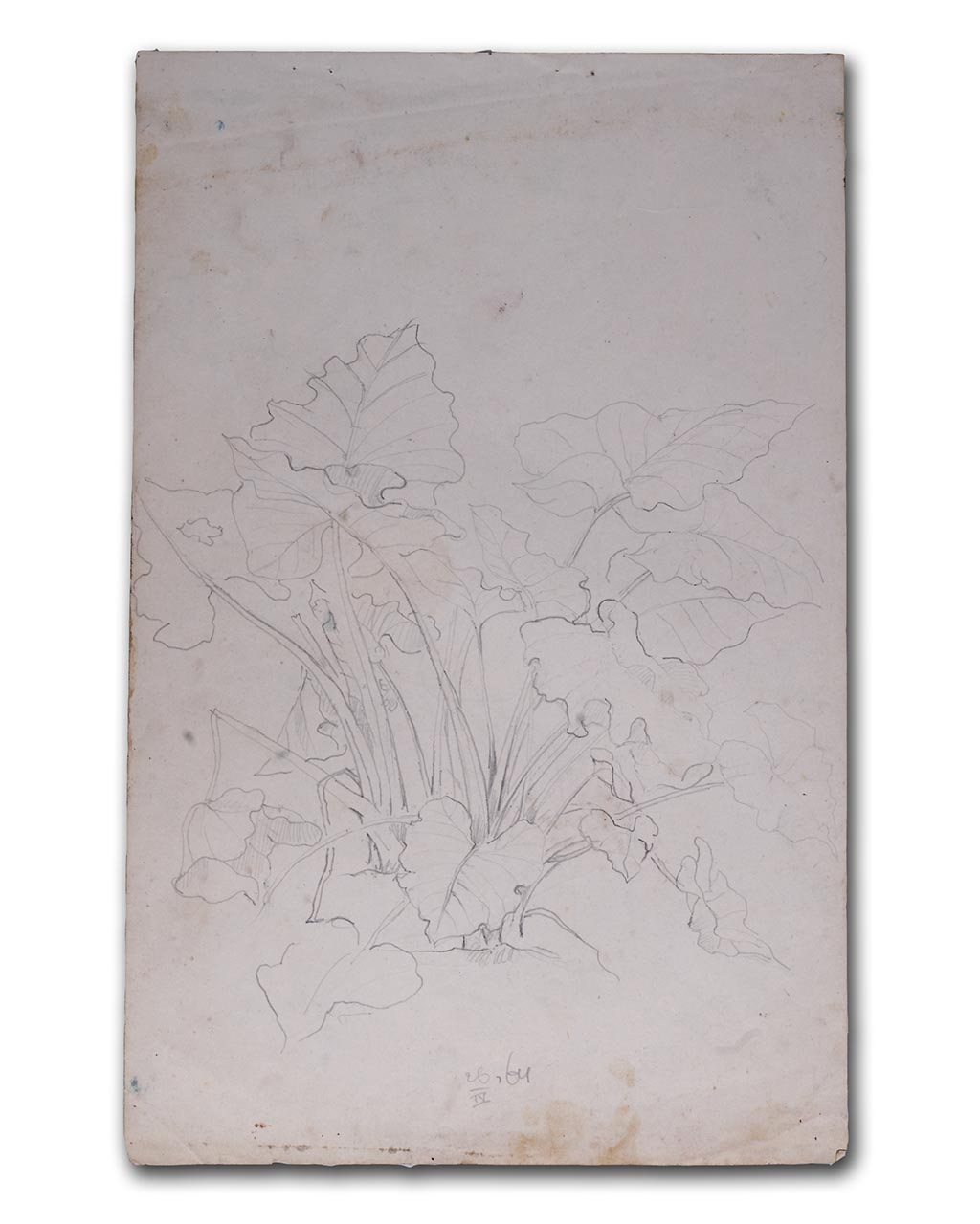 Sudjojono's sketch (pencil)