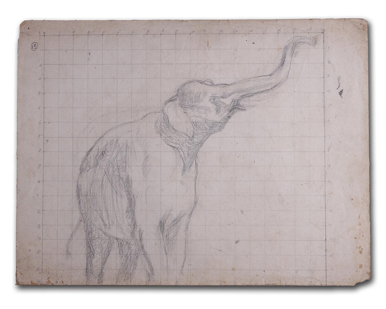 Sudjojono's sketch (pencil)