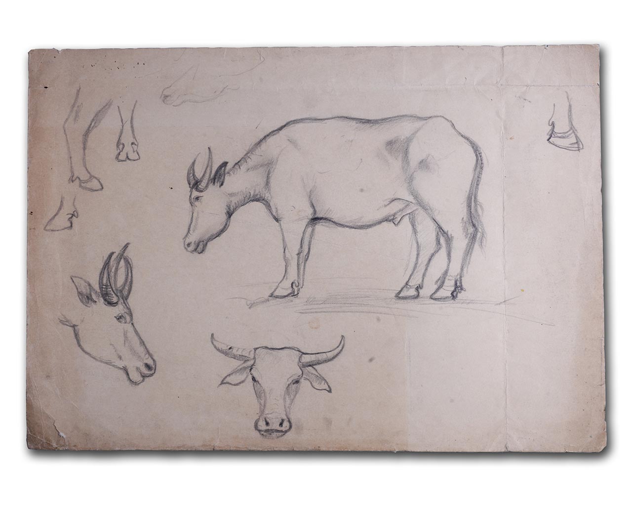 Sudjojono's sketch (pencil)
