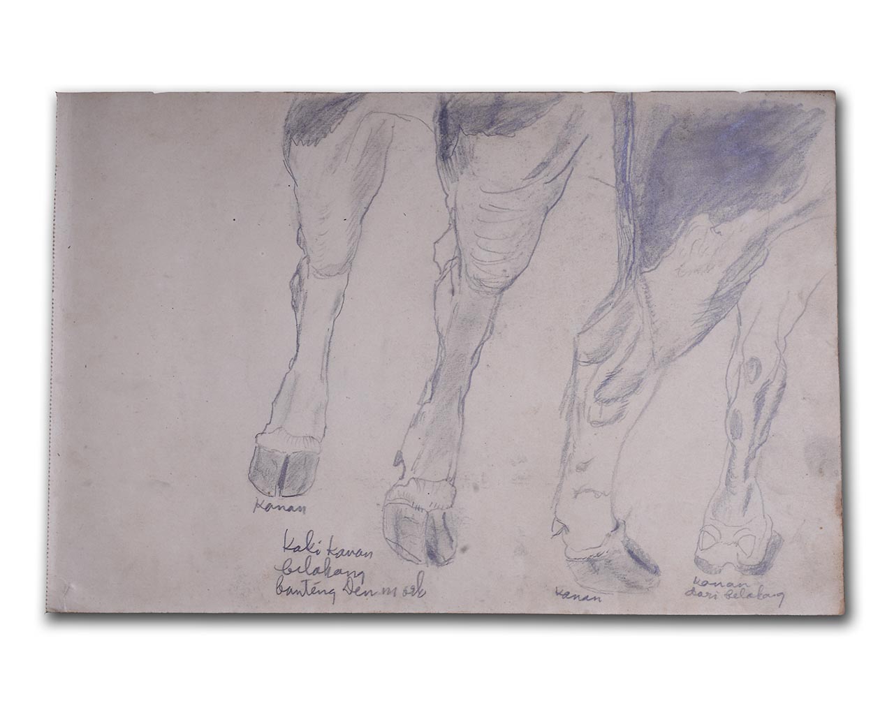 S. Sudjojono's sketch in pencil