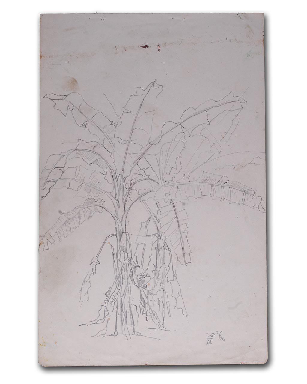 Sudjojono's sketch (pencil)