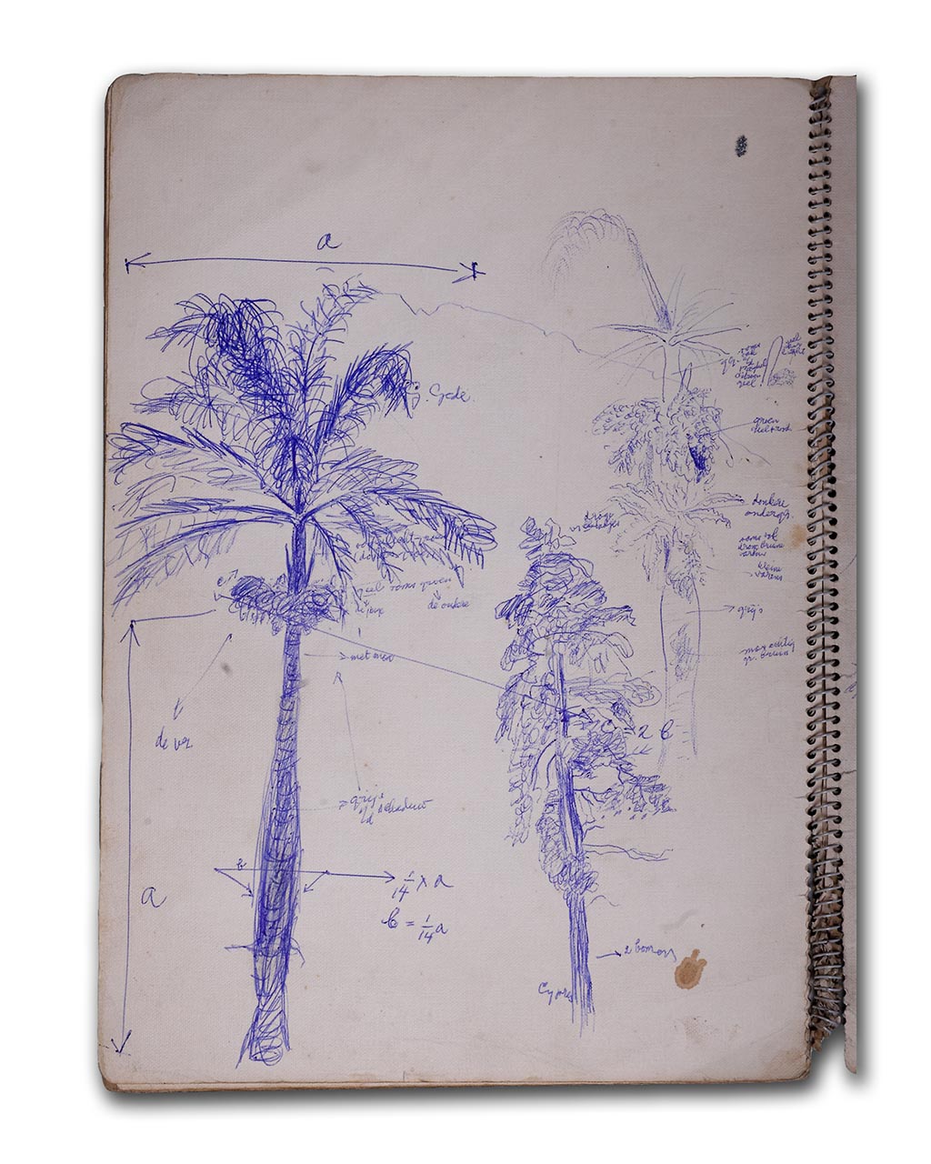 S.Sudjojono's sketch (pen)