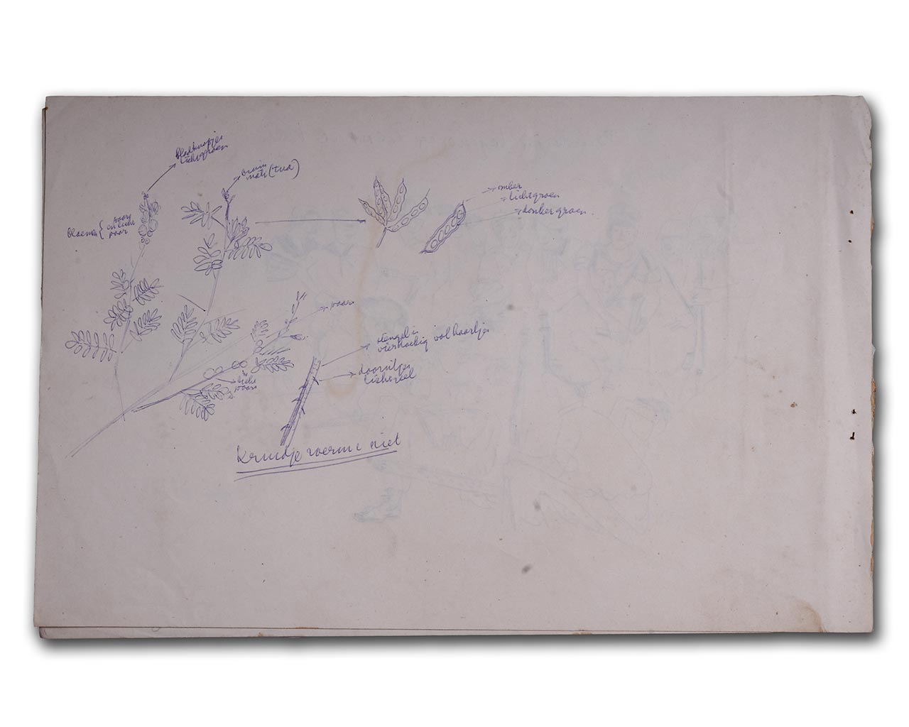 S. Sudjojono's sketch (pen)