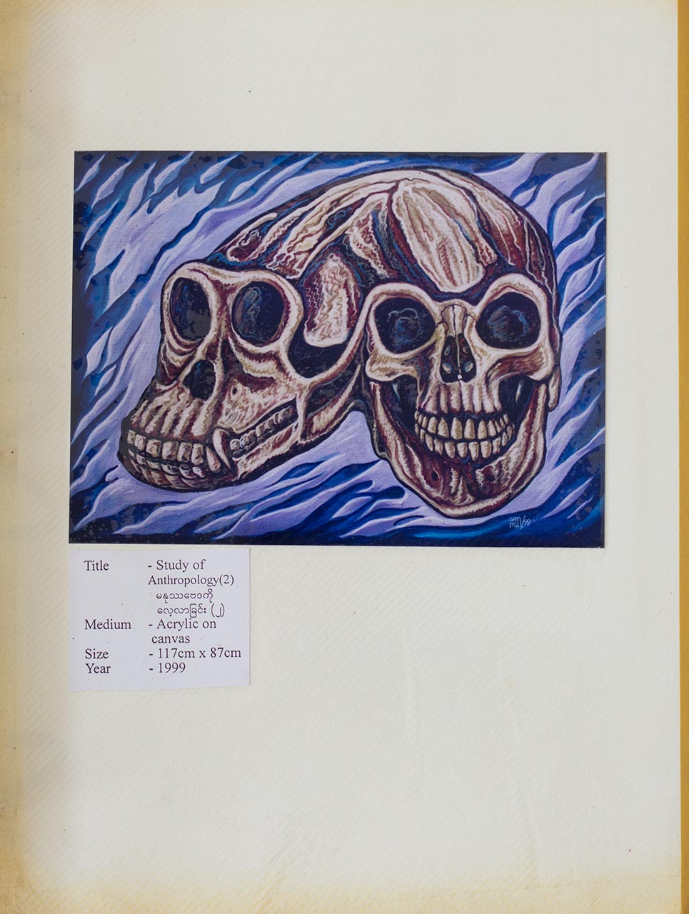 Study of Anthropology (2)