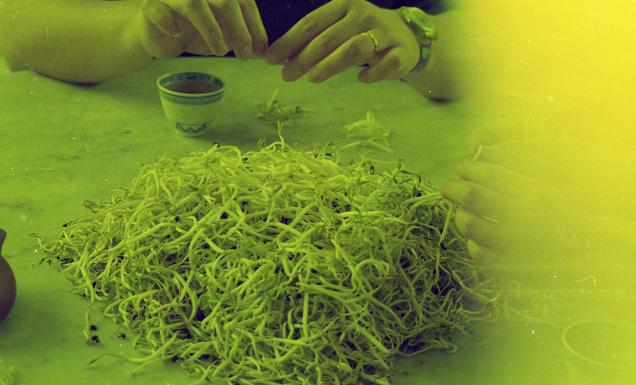 Photographic documentation of "Let's Chat" by Amanda Heng at the Singapore Art Museum in 2000