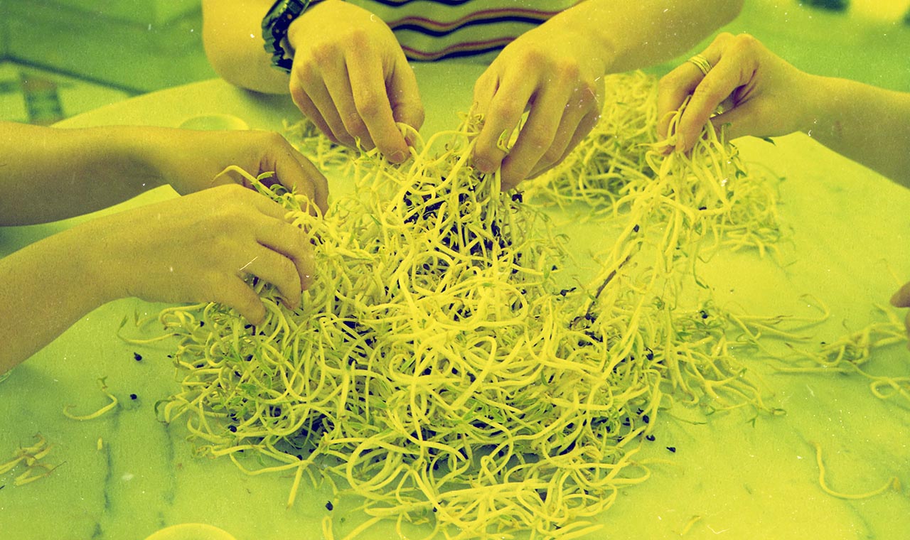 Photographic documentation of "Let's Chat" by Amanda Heng at the Singapore Art Museum in 2000