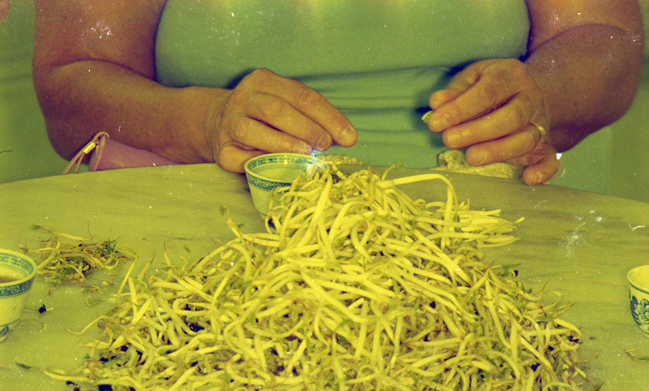 Photographic documentation of "Let's Chat" by Amanda Heng at the Singapore Art Museum in 2000