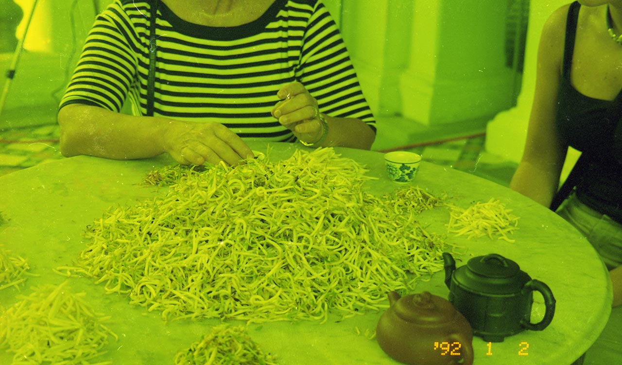 Photographic documentation of "Let's Chat" by Amanda Heng at the Singapore Art Museum in 2000
