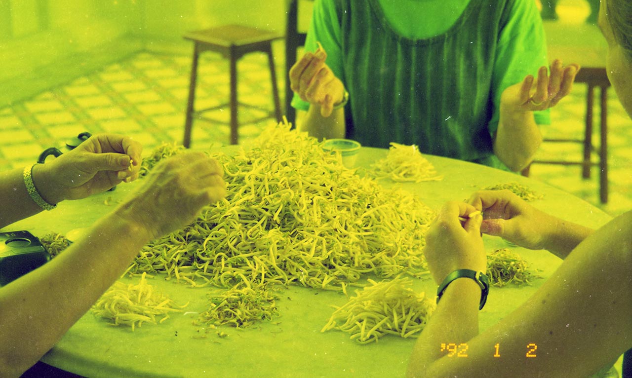 Photographic documentation of "Let's Chat" by Amanda Heng at the Singapore Art Museum in 2000