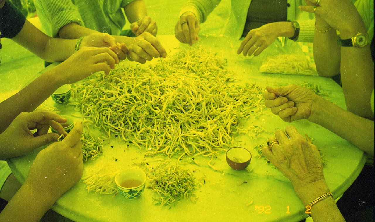 Photographic documentation of "Let's Chat" by Amanda Heng at the Singapore Art Museum in 2000
