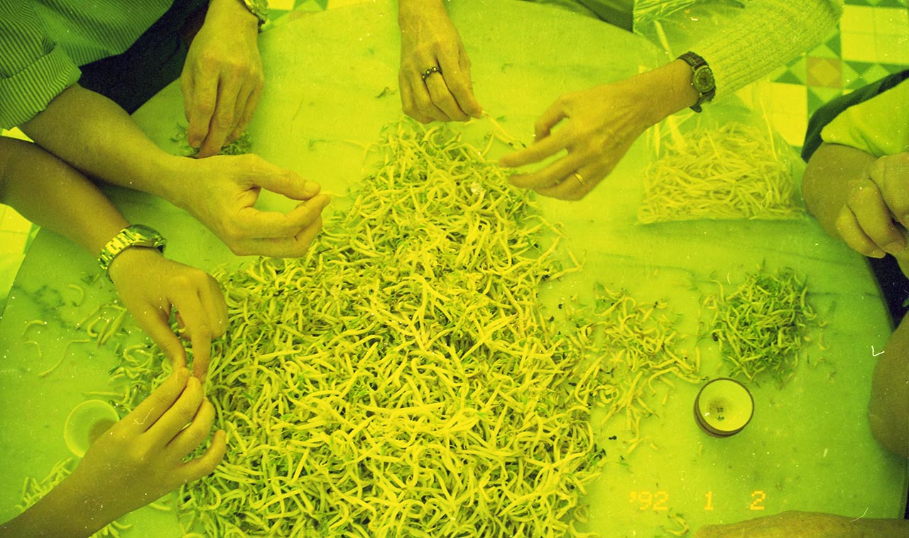 Photographic documentation of "Let's Chat" by Amanda Heng at the Singapore Art Museum in 2000