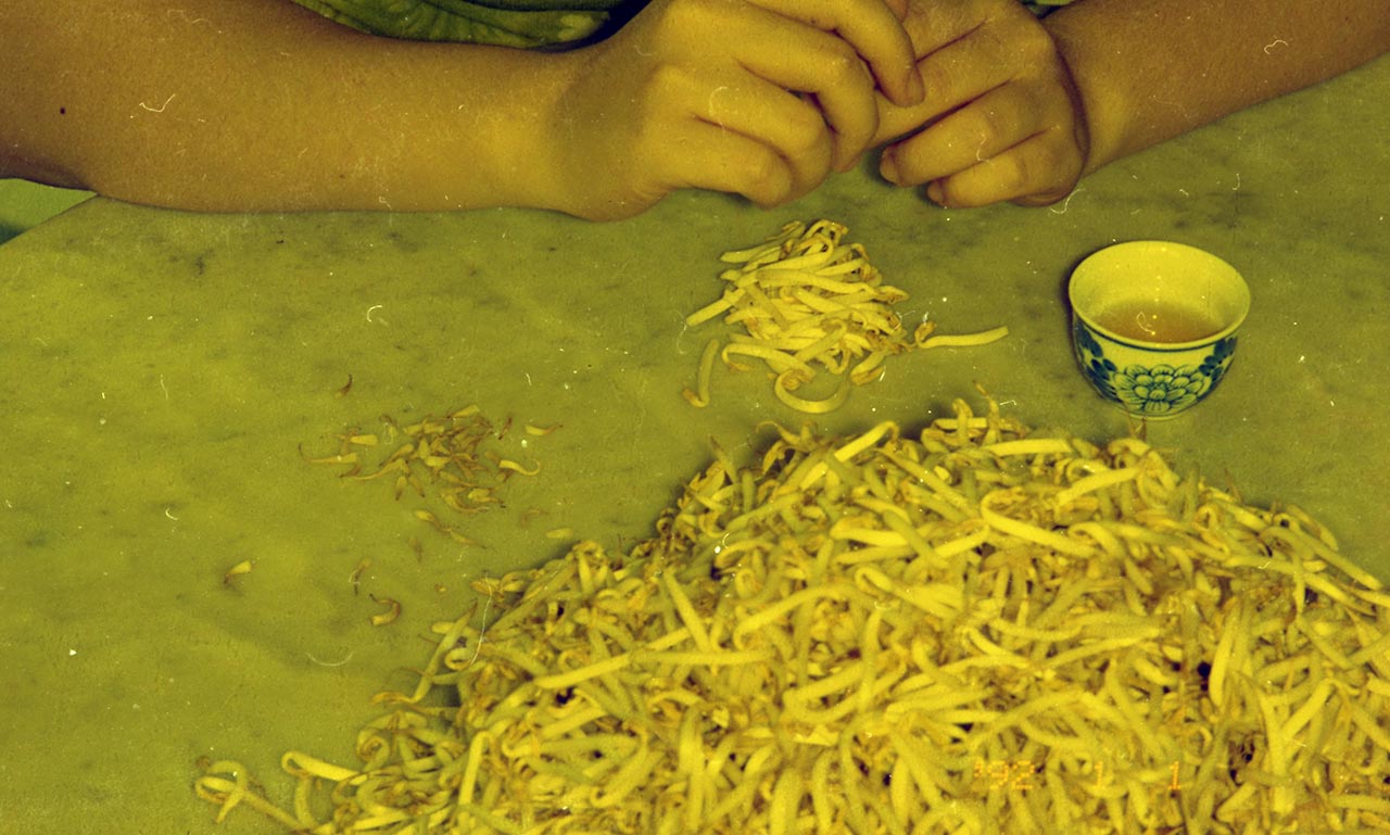 Photographic documentation of "Let's Chat" by Amanda Heng at the Singapore Art Museum in 2000