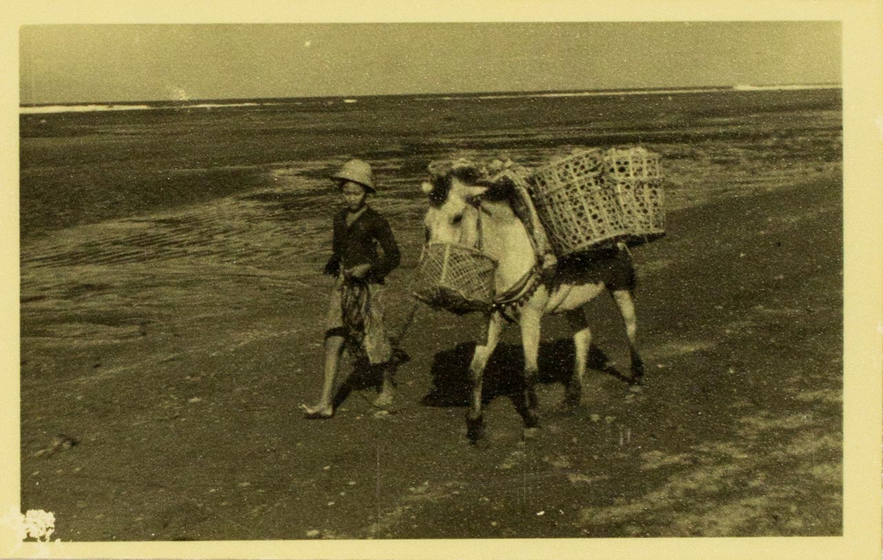 Balinese girl and her pony