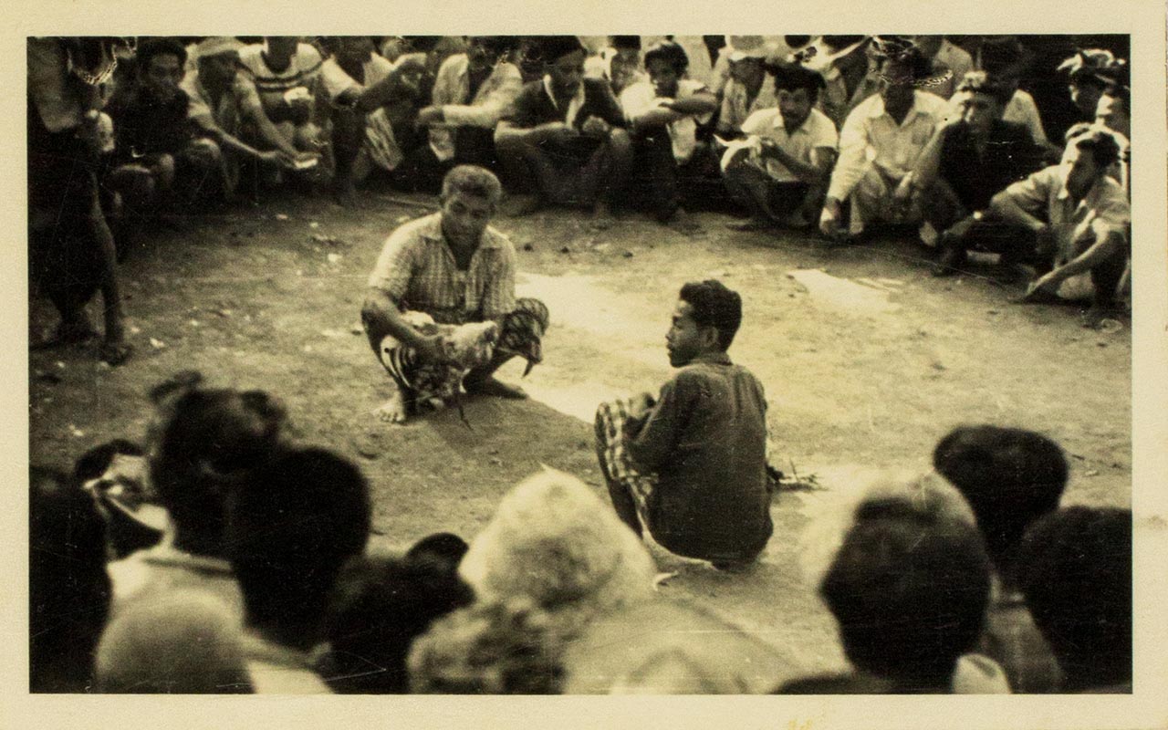 Crowd at cockfighting in Bali