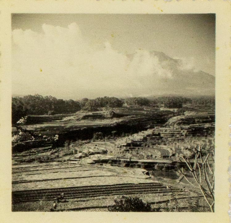 Balinese terraced paddy field and Mount Agung - Chen Chong Swee's travel photo