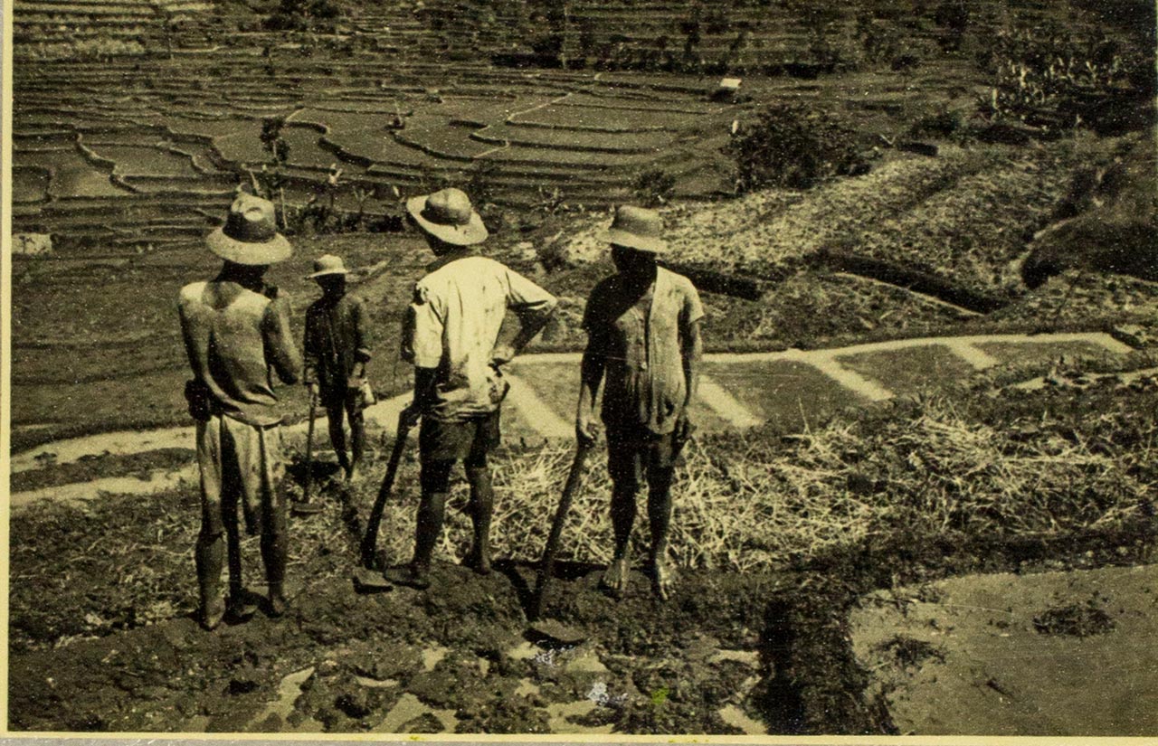 Balinese farmers - Chen Chong Swee's travel photo