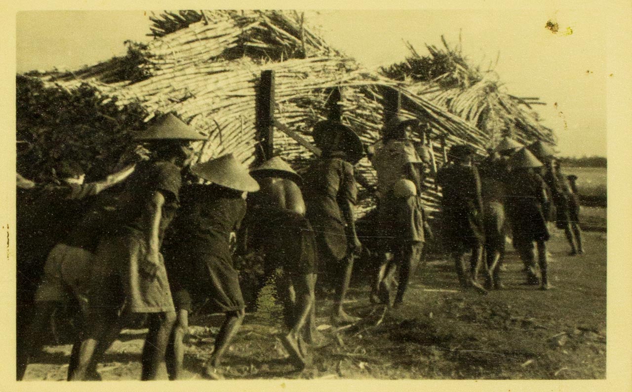 Sugar canes being brought to factory – Chen Chong Swee's travel photo