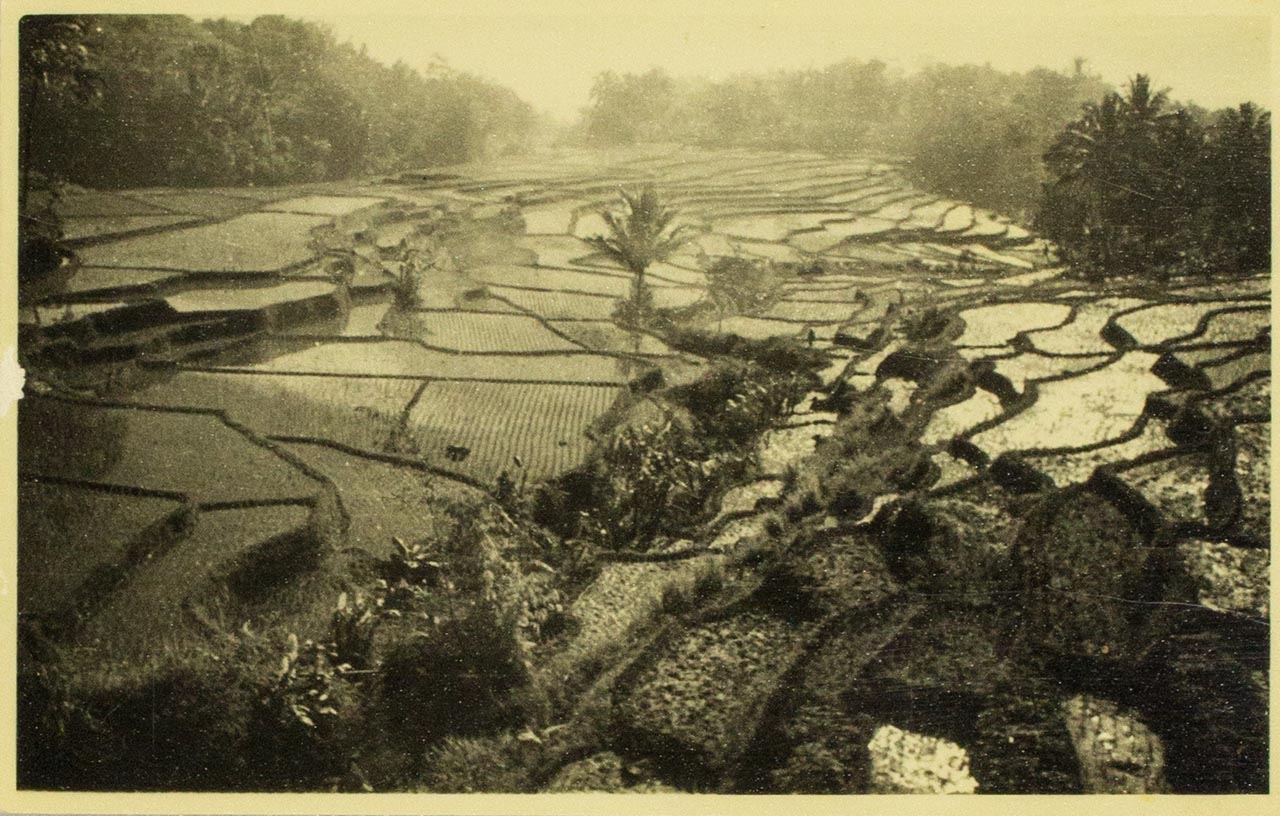 Terraced paddy fields - Chen Chong Swee's travel photo
