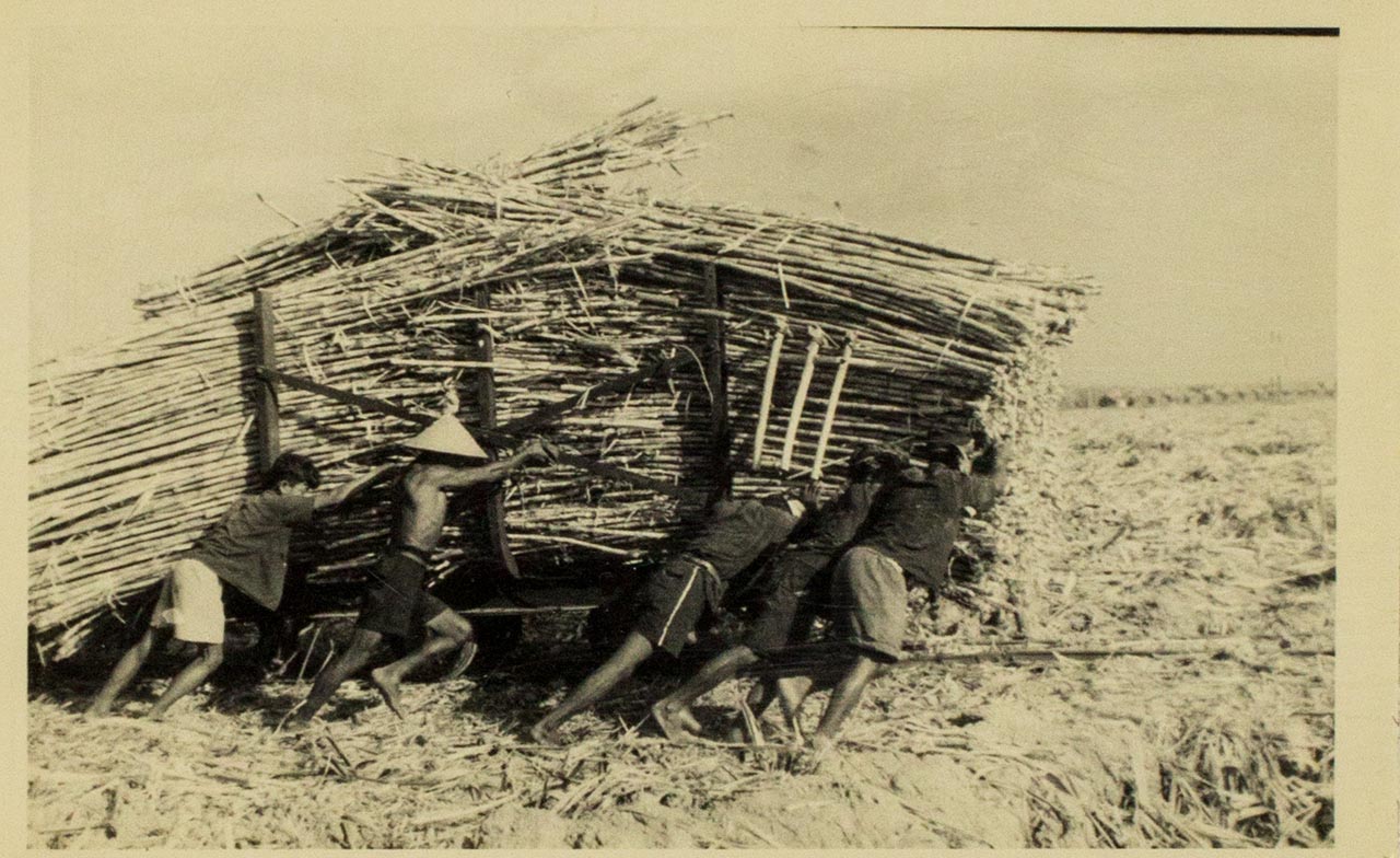 Sugarcane for processing in factory – Chen Chong Swee's travel photo