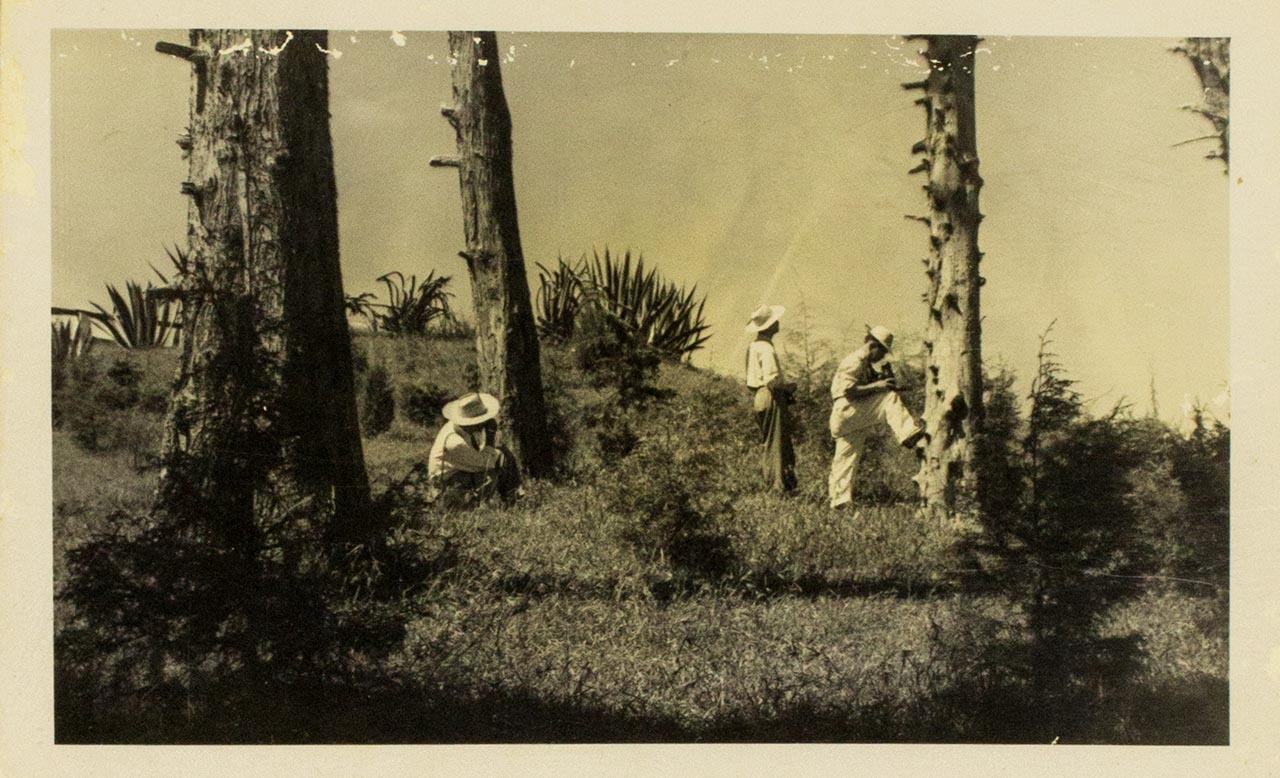 Bosscha Observatory, Bandung