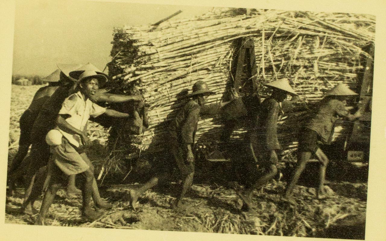 Sugarcane being carted to be loaded for factory – Chen Chong Swee's travel photo