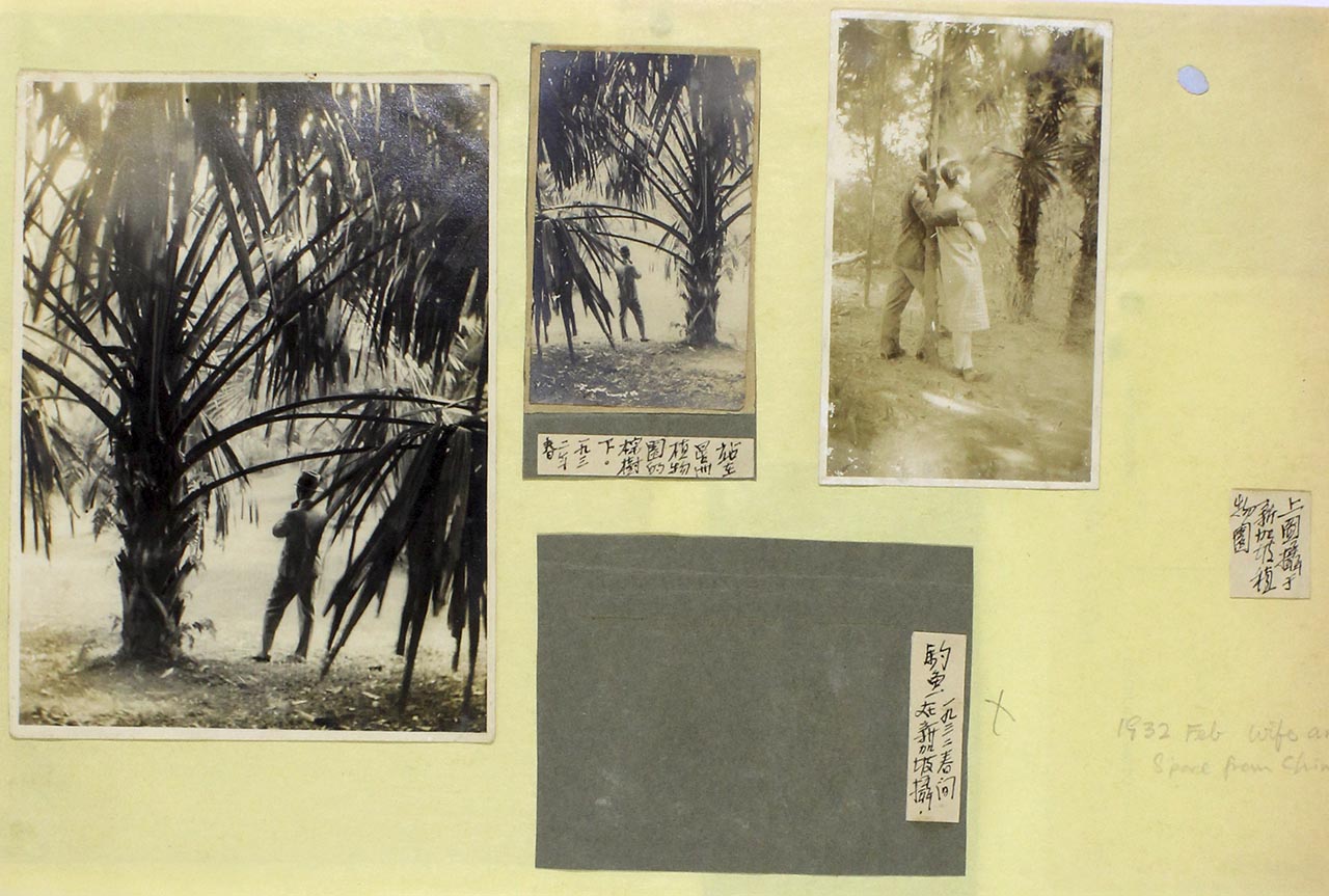 Chen Chong Swee in the Botanic Gardens, Singapore
