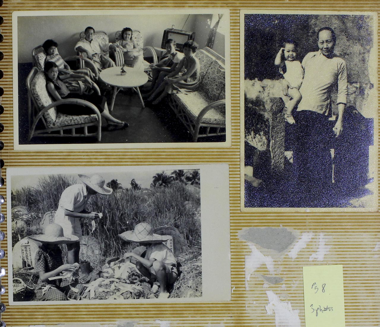 Chen Chong Swee's Family Photos