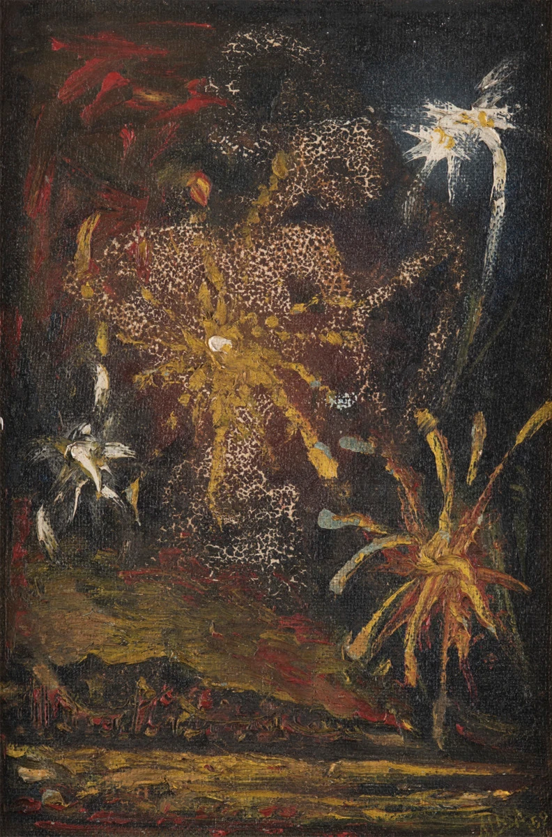 Bunga Api (Fireworks)
