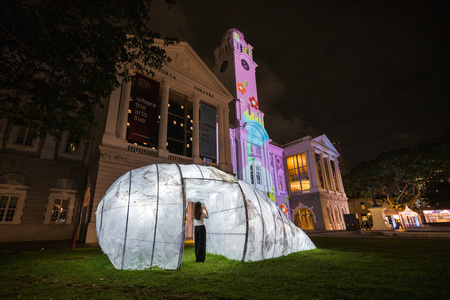 Installation view of Instar Dreaming (in slow wave) and Flower Power at Victoria Theatre and Victoria Concert Hall