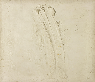 White on White [No.6]