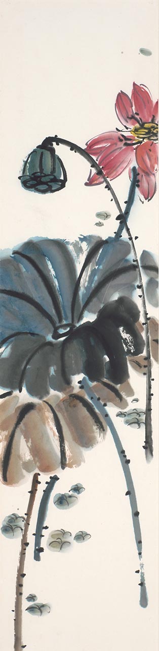 Lotus