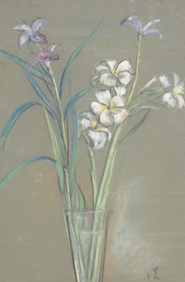 Still Life (Orchids)