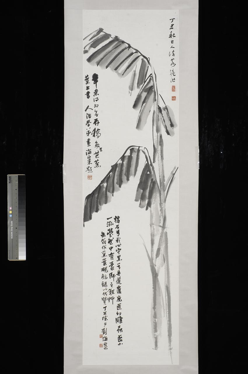 Banana tree (with Calligraphy by Liu Haisu)