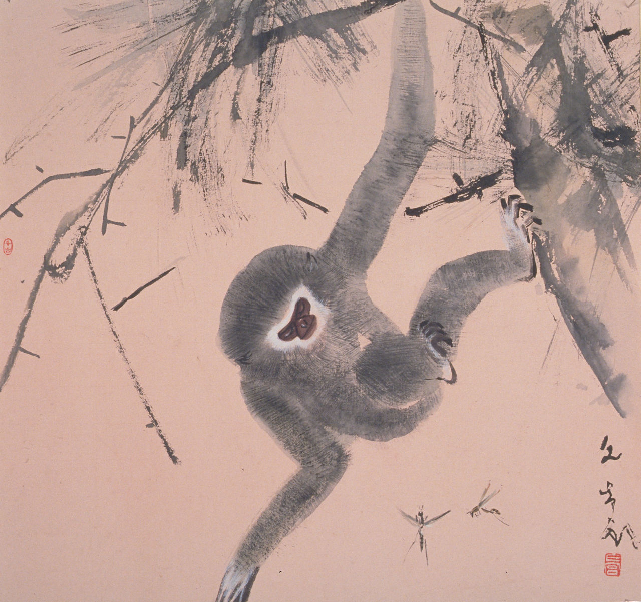 Gibbons