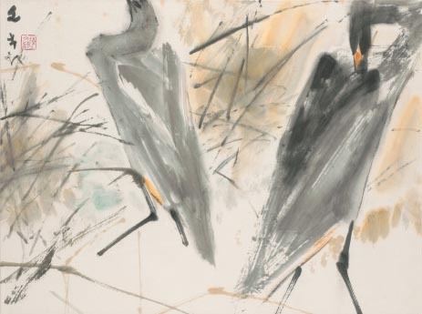 Grey storks