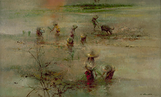 Padi Field