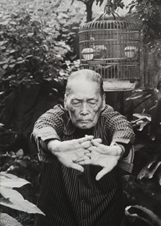 Legends (Huang Junbi)