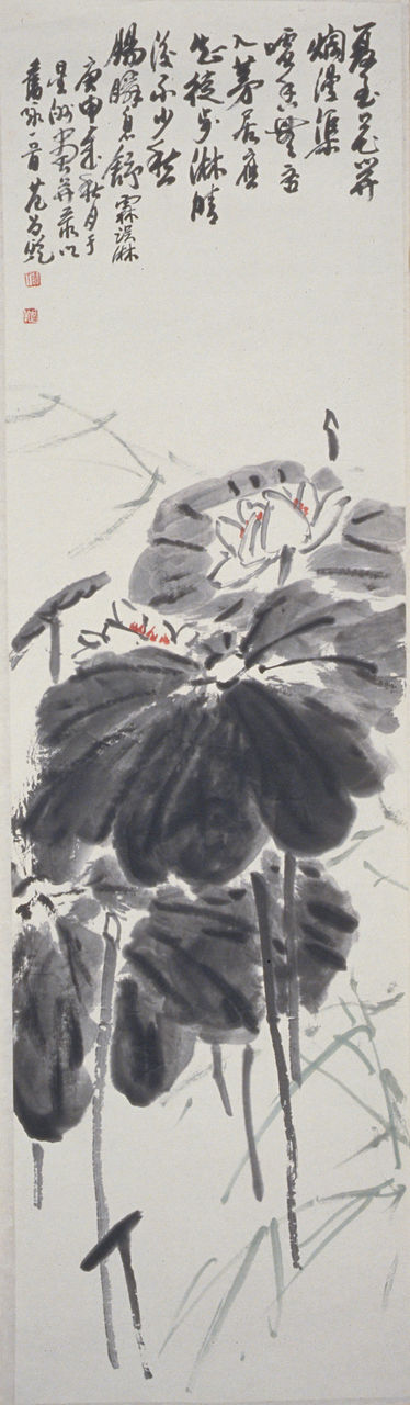 Lotus