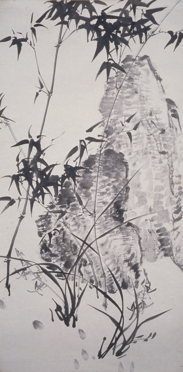 Bamboo and Rock
