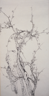 Plum Blossom